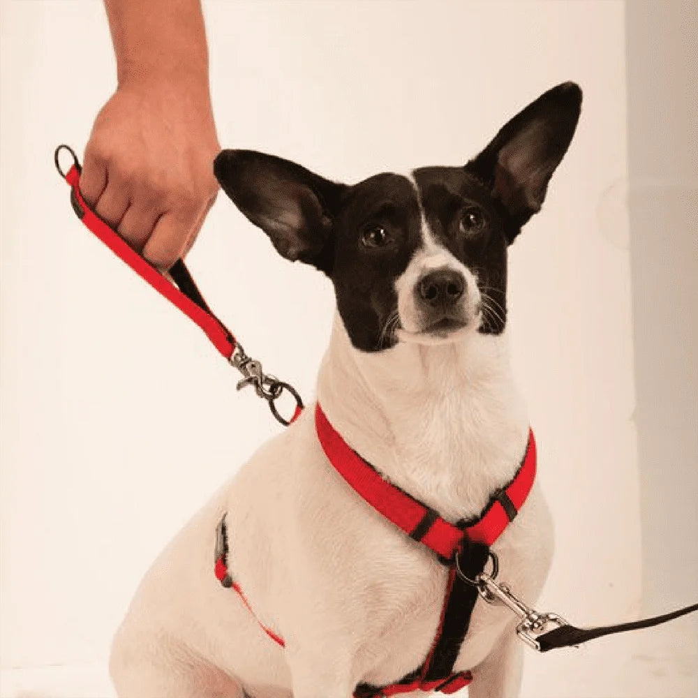 DUTRIEUX Ultimate Control Dog Harness Front Rear Pull