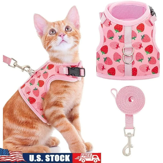 Fujian Escape Proof Cat Harness With Leash Breathable Mesh