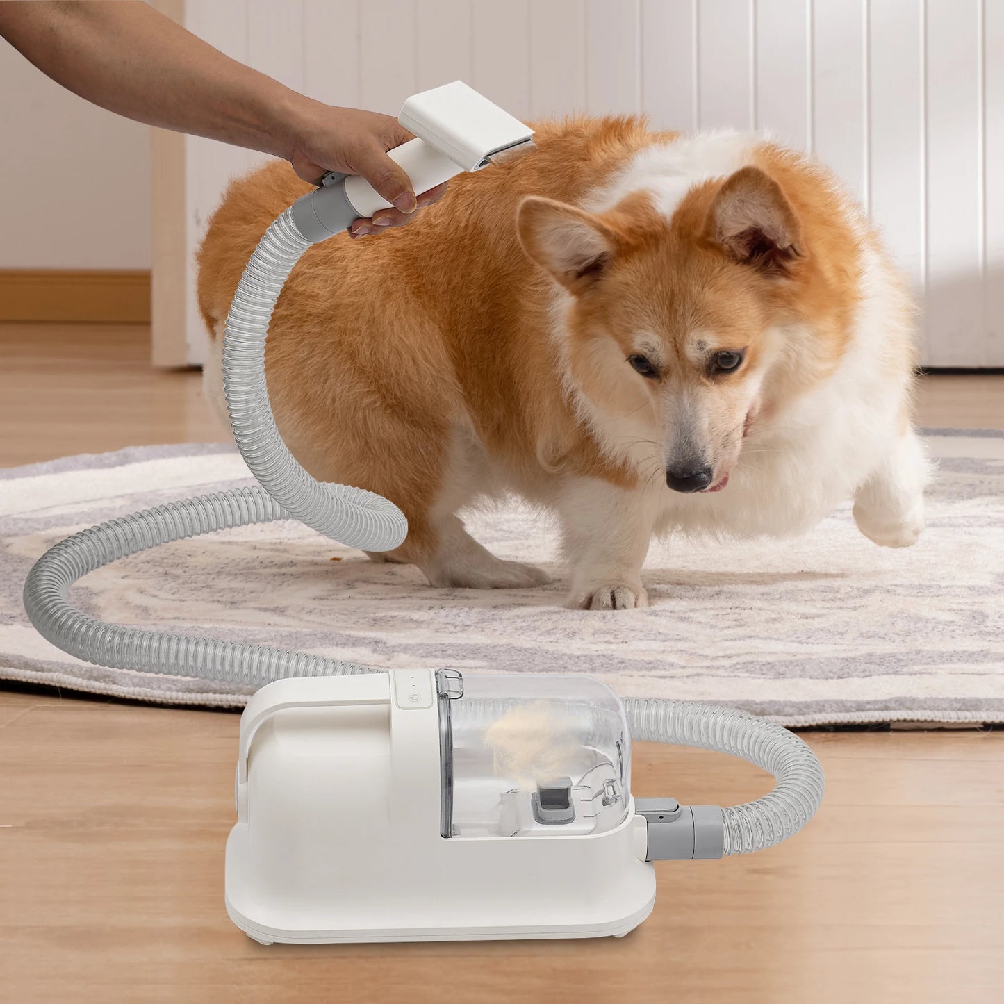 Frequency Pet Hair Grooming Tool Set Three In One Suction