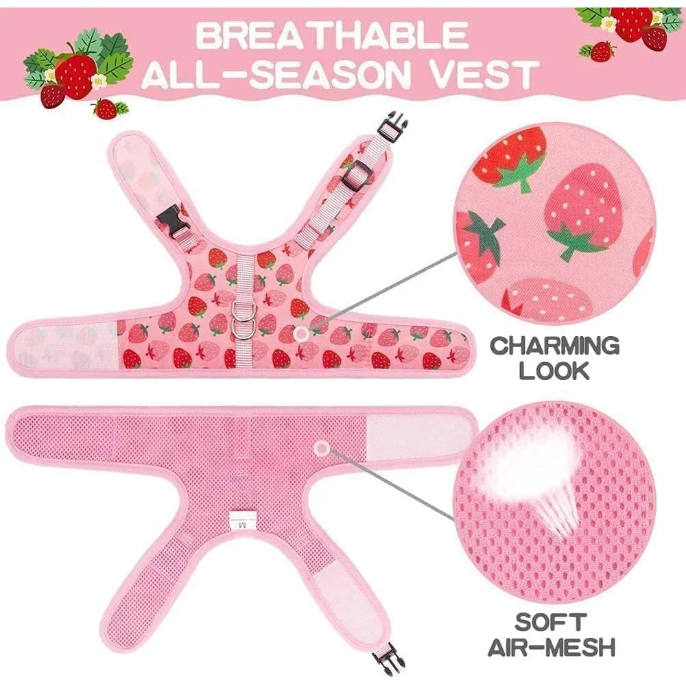 Fujian Escape Proof Cat Harness With Leash Breathable Mesh