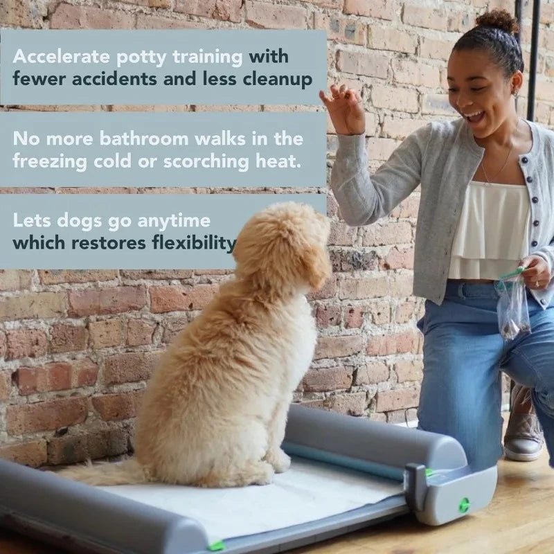 Hign-concerned Indoor Dog Potty Self Cleaning Odor Control