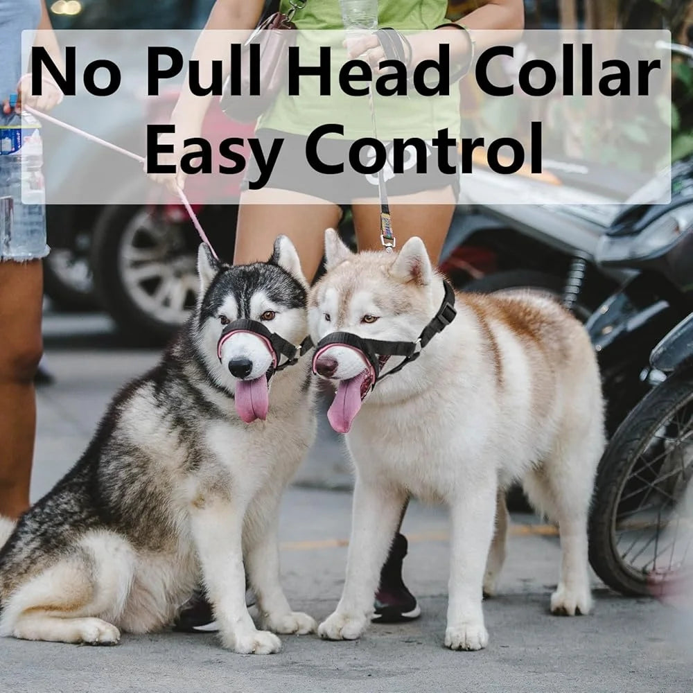 Fujian Padded Dog Head Collar Adjustable No Pull Harness