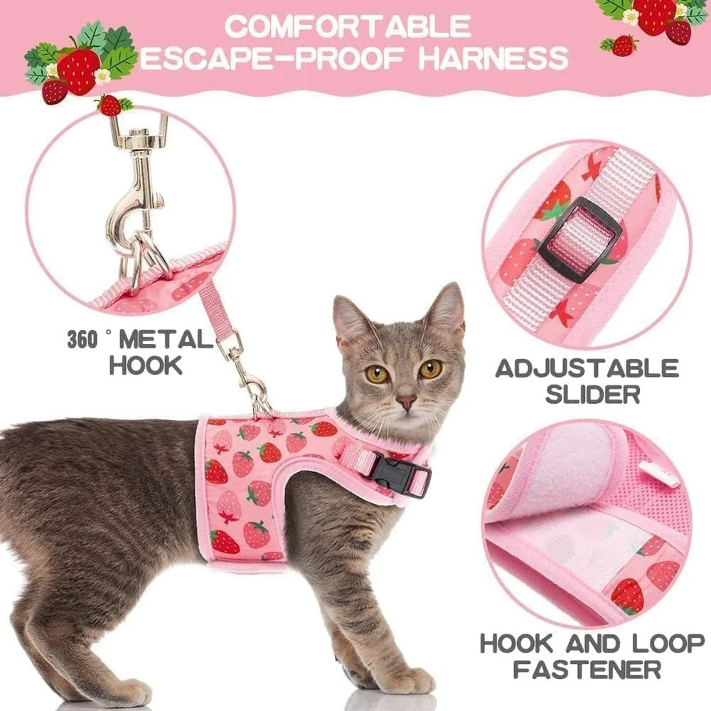 Fujian Escape Proof Cat Harness With Leash Breathable Mesh