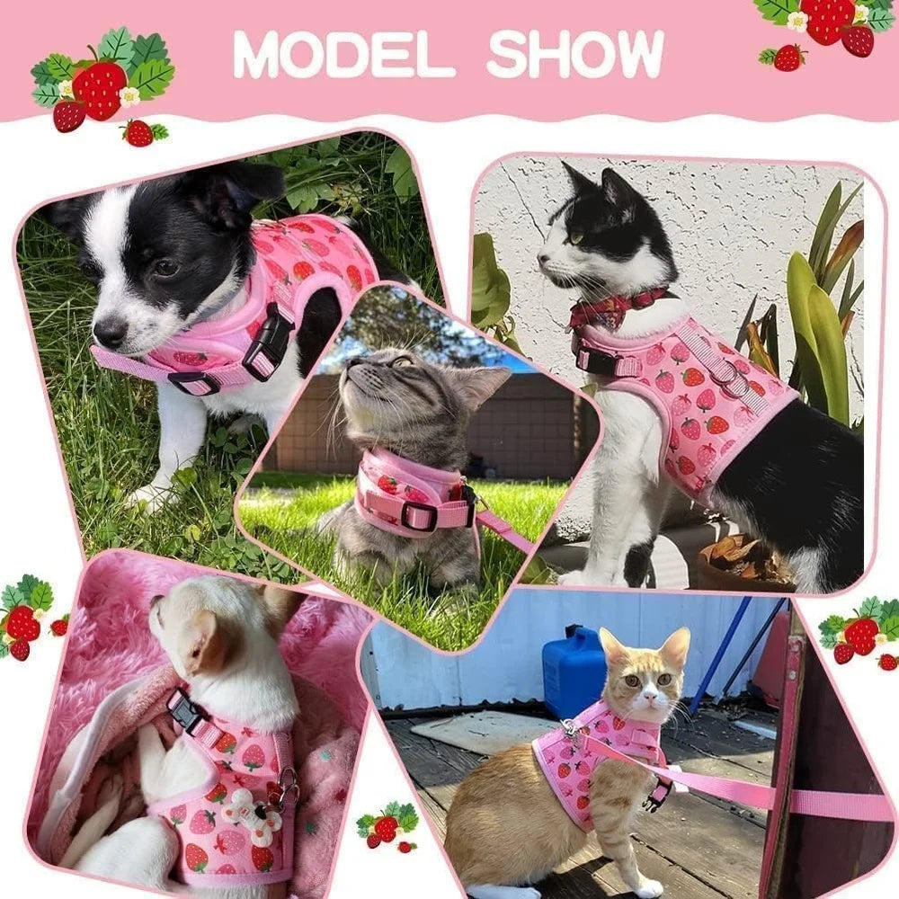 Fujian Escape Proof Cat Harness With Leash Breathable Mesh